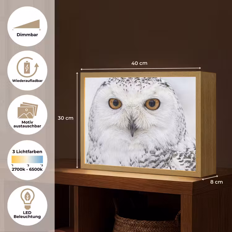 Sneeuwuil - Oog - Wildlife - Wit Light Box met batterij (Wandlamp) middel -USP_websiteoverzichtDE