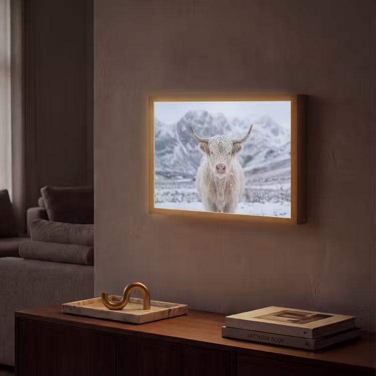 Schotse Hooglander - Sneeuw - Bergen - Winter Light Box met batterij (Wandlamp) middel -sfeer1