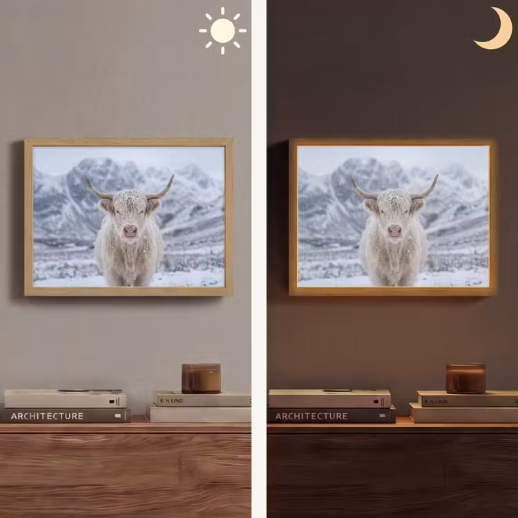 Schotse Hooglander - Sneeuw - Bergen - Winter Light Box met batterij (Wandlamp) middel -sfeer3