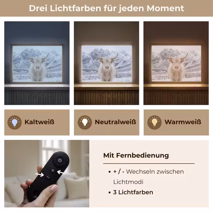 Schotse Hooglander - Sneeuw - Bergen - Winter Light Box met batterij (Wandlamp) middel -USP_lichtkleurDE