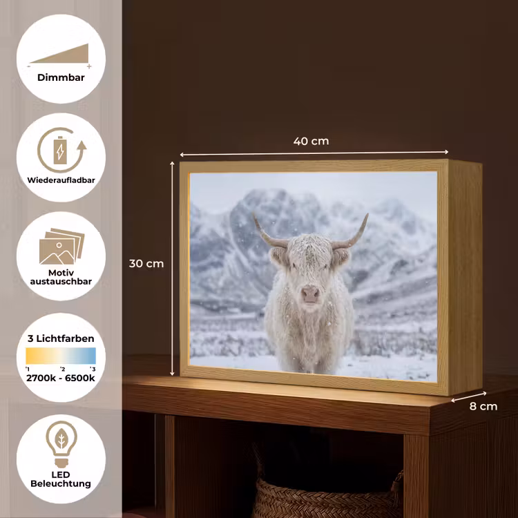 Schotse Hooglander - Sneeuw - Bergen - Winter Light Box met batterij (Wandlamp) middel -USP_websiteoverzichtDE