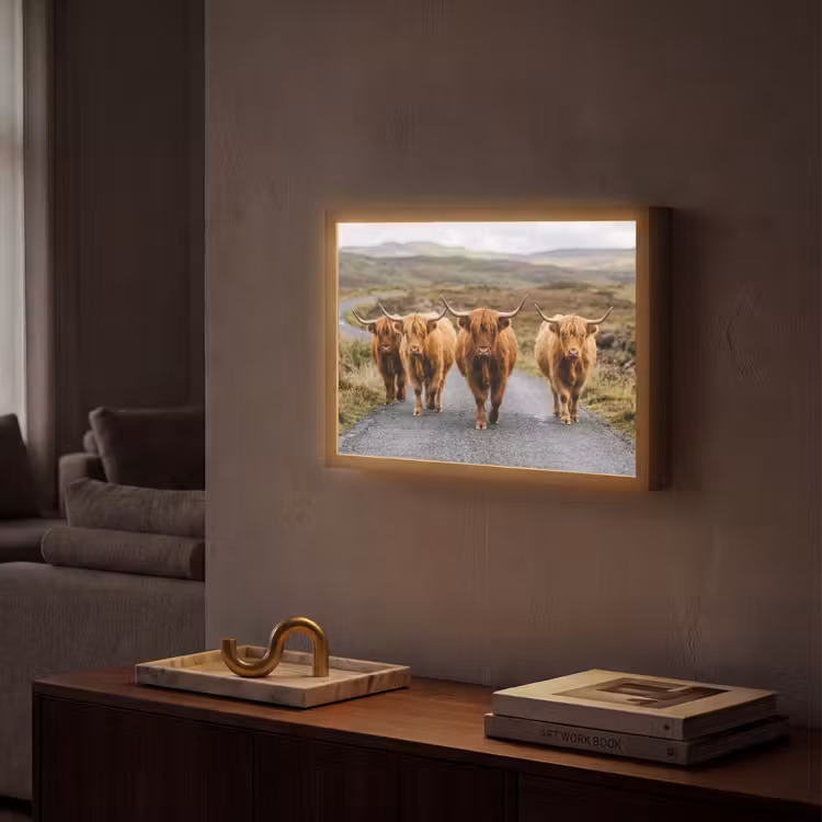 Schotse Hooglanders - Weg - Landschap - Kudde Light Box met batterij (Wandlamp) middel -sfeer1