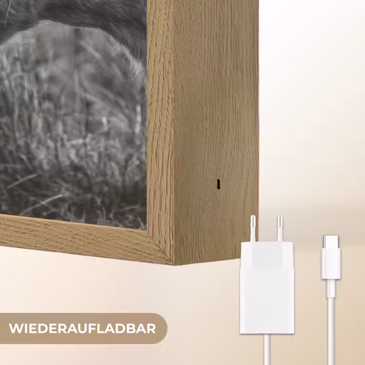 Schotse hooglander - Kalf - Zwart - Wit Light Box met batterij (Wandlamp) middel -USP_websiteoplaadbaarDE
