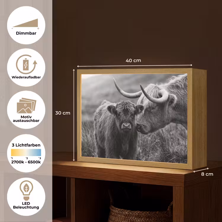 Schotse hooglander - Kalf - Zwart - Wit Light Box met batterij (Wandlamp) middel -USP_websiteoverzichtDE