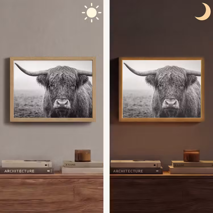 Schotse hooglander - Zwart - Wit - Gras Light Box met batterij (Wandlamp) middel -sfeer3