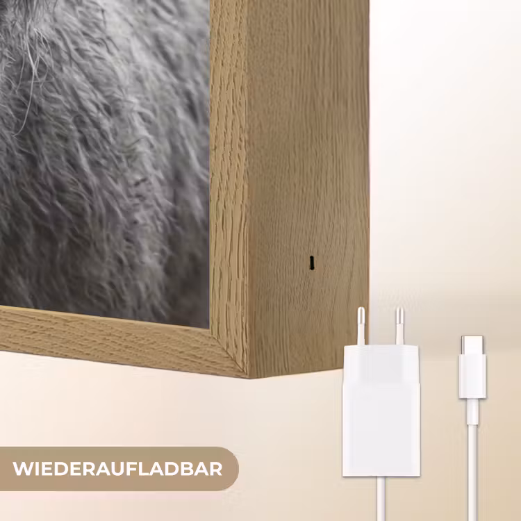 Schotse hooglander - Zwart - Wit - Gras Light Box met batterij (Wandlamp) middel -USP_websiteoplaadbaarDE