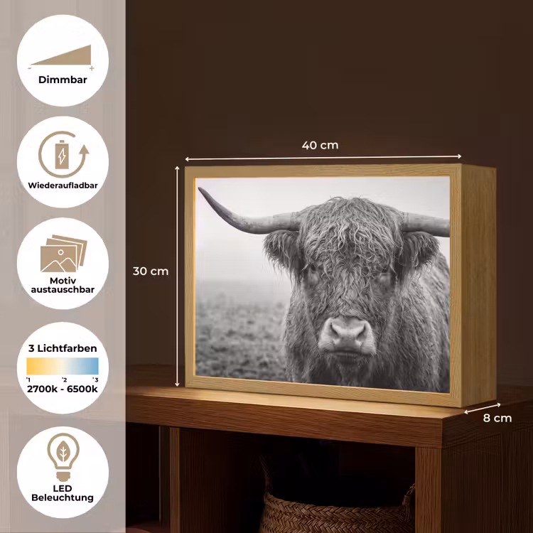 Schotse hooglander - Zwart - Wit - Gras Light Box met batterij (Wandlamp) middel -USP_websiteoverzichtDE