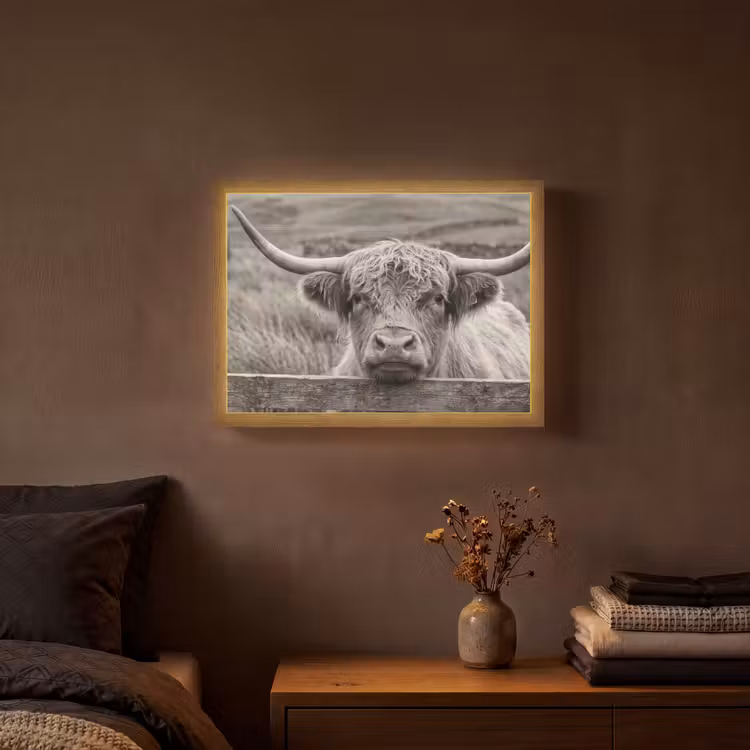 Schotse hooglander - Zwart - Wit - Hout Light Box met batterij (Wandlamp) middel -sfeer4