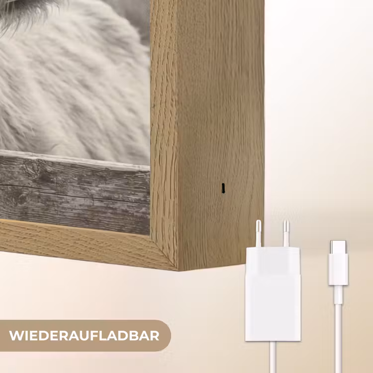 Schotse hooglander - Zwart - Wit - Hout Light Box met batterij (Wandlamp) middel -USP_websiteoplaadbaarDE