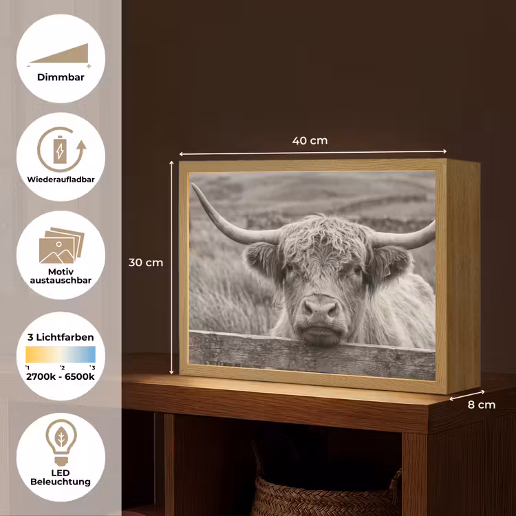 Schotse hooglander - Zwart - Wit - Hout Light Box met batterij (Wandlamp) middel -USP_websiteoverzichtDE