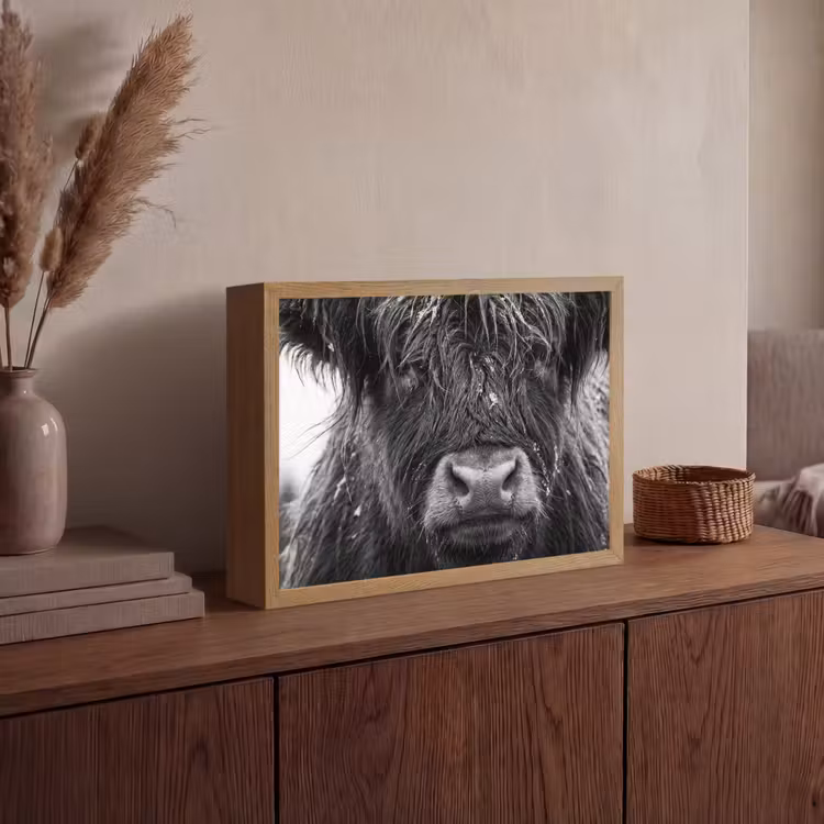Schotse hooglander - Zwart - Wit - Sneeuwvlokken Light Box met batterij (Wandlamp) middel -sfeer2