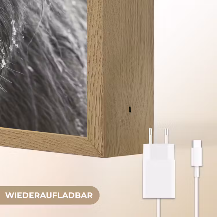 Schotse hooglander - Zwart - Wit - Sneeuwvlokken Light Box met batterij (Wandlamp) middel -USP_websiteoplaadbaarDE