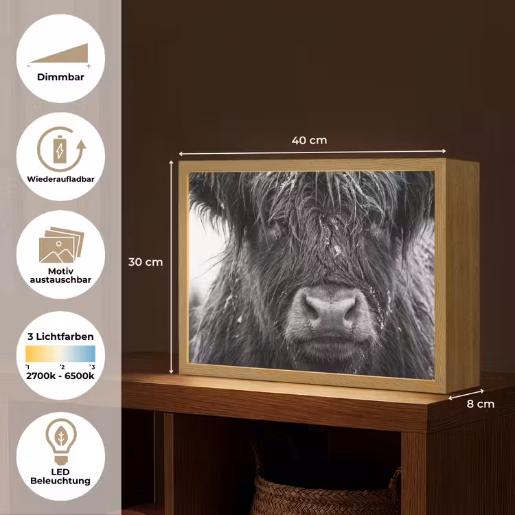 Schotse hooglander - Zwart - Wit - Sneeuwvlokken Light Box met batterij (Wandlamp) middel -USP_websiteoverzichtDE