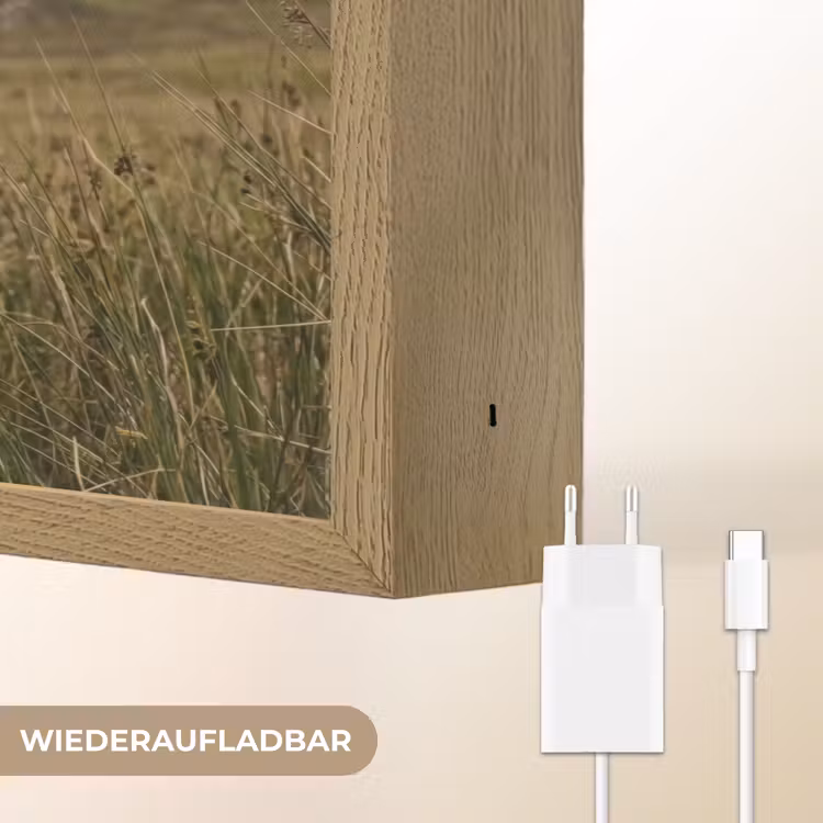 Schotse hooglander - Bergen - Grasveld Light Box met batterij (Wandlamp) middel -USP_websiteoplaadbaarDE