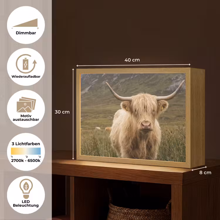 Schotse hooglander - Bergen - Grasveld Light Box met batterij (Wandlamp) middel -USP_websiteoverzichtDE