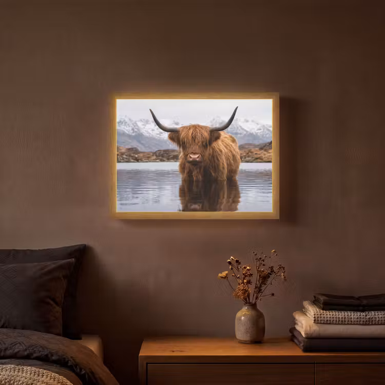 Schotse hooglander - Bruin - Water Light Box met batterij (Wandlamp) middel -sfeer4