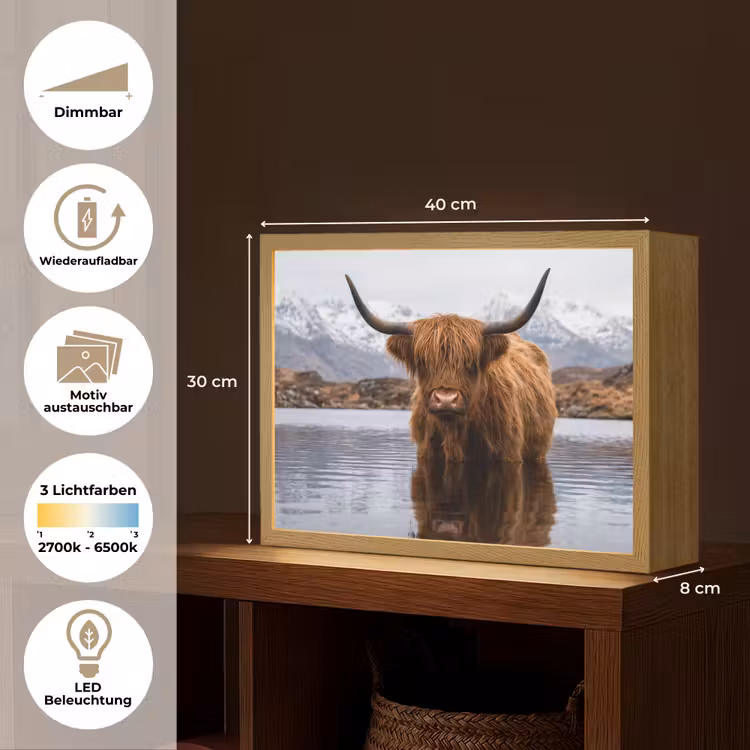 Schotse hooglander - Bruin - Water Light Box met batterij (Wandlamp) middel -USP_websiteoverzichtDE