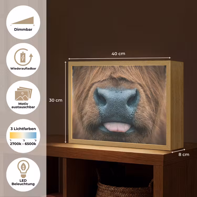Schotse hooglander - Neus - Bruin Light Box met batterij (Wandlamp) middel -USP_websiteoverzichtDE