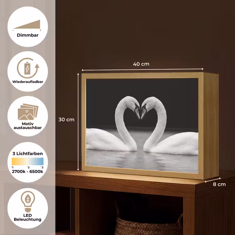Zwanen - Hart - Zwart - Wit Light Box met batterij (Wandlamp) middel -USP_websiteoverzichtDE