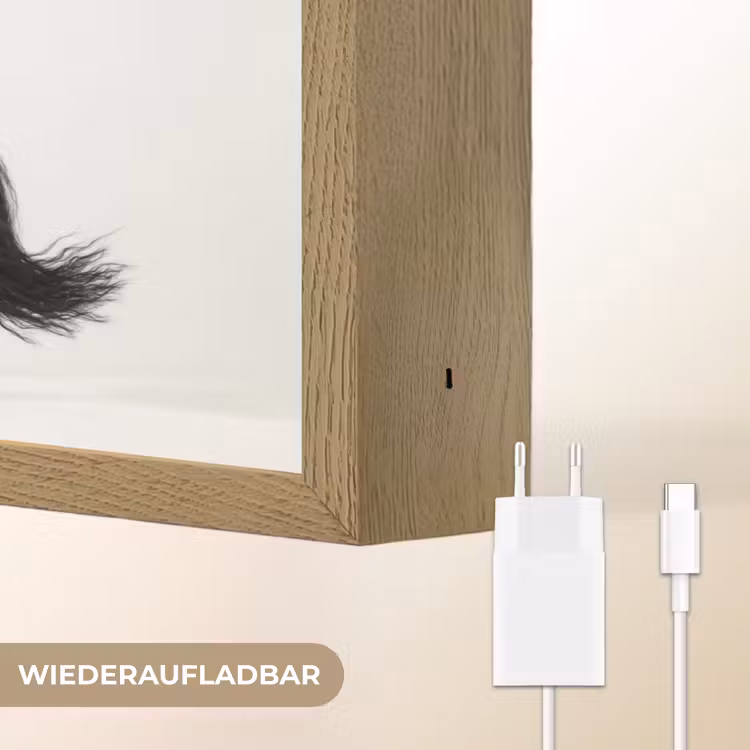 Zwart - Paard - Portret Light Box met batterij (Wandlamp) middel -USP_websiteoplaadbaarDE
