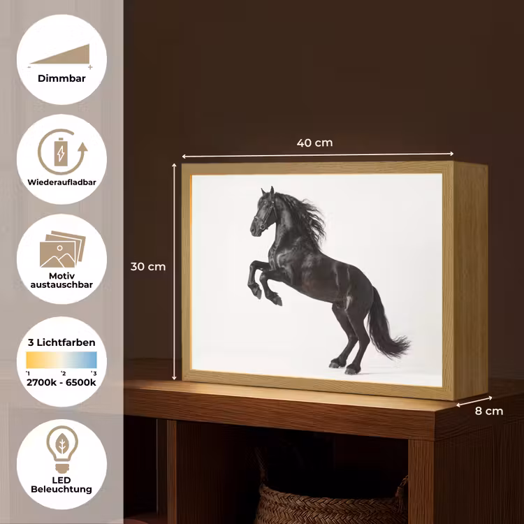 Zwart - Paard - Portret Light Box met batterij (Wandlamp) middel -USP_websiteoverzichtDE