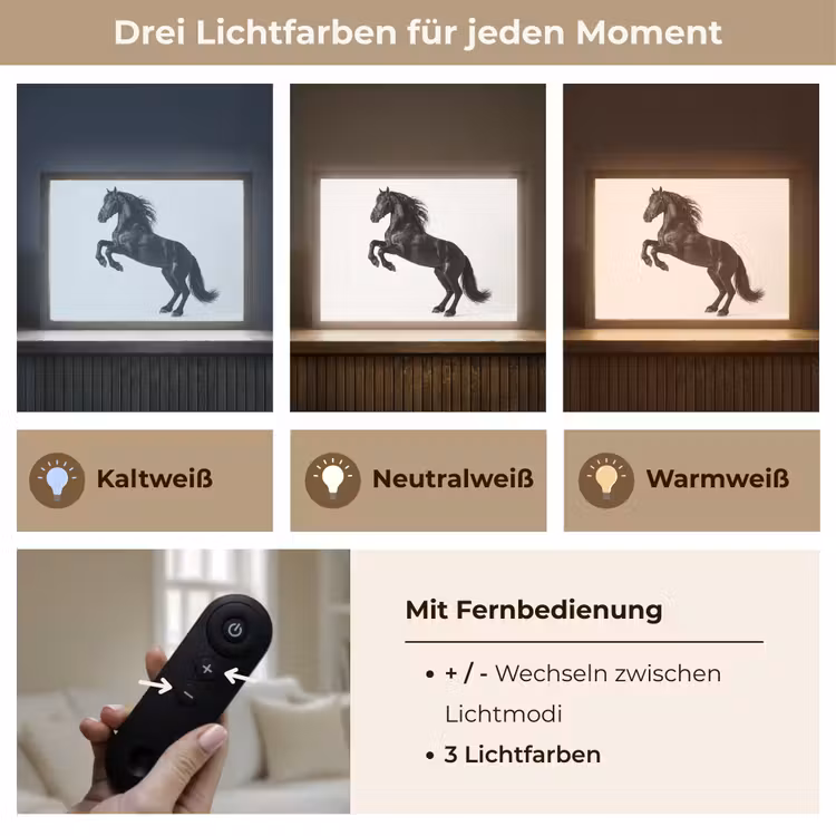 Zwart - Paard - Portret Light Box met batterij (Wandlamp) middel -USP_lichtkleurDE
