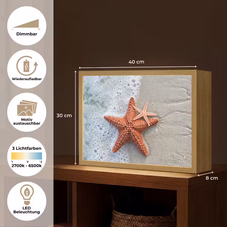 Zeester - Strand - Zee Light Box met batterij (Wandlamp) middel -USP_websiteoverzichtDE