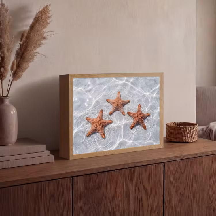 Zeesterren - Water - Helder Light Box met batterij (Wandlamp) middel -sfeer2