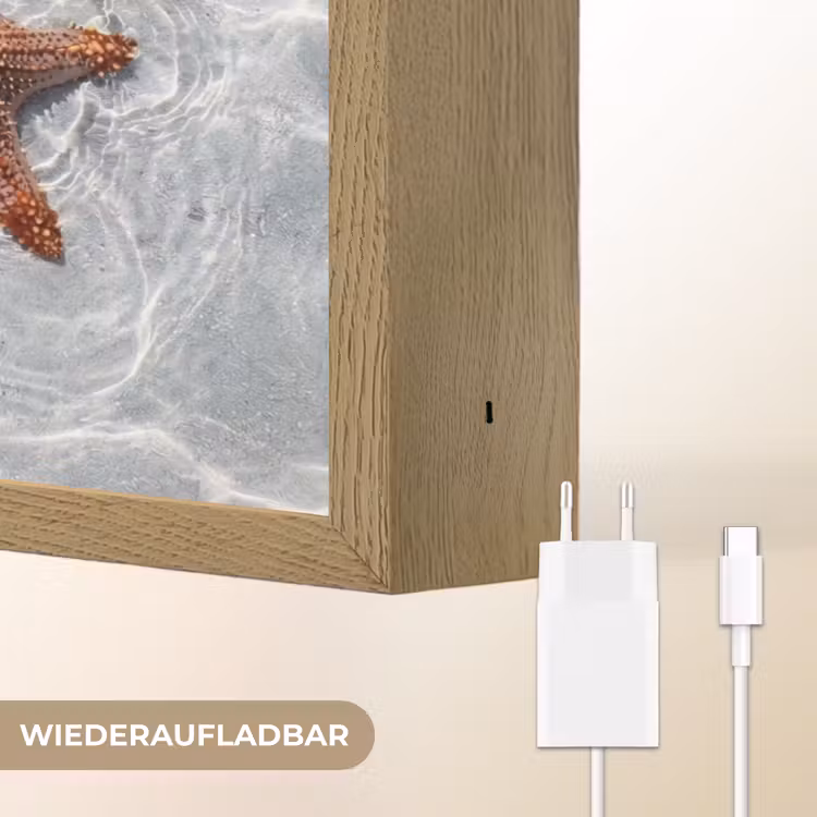 Zeesterren - Water - Helder Light Box met batterij (Wandlamp) middel -USP_websiteoplaadbaarDE