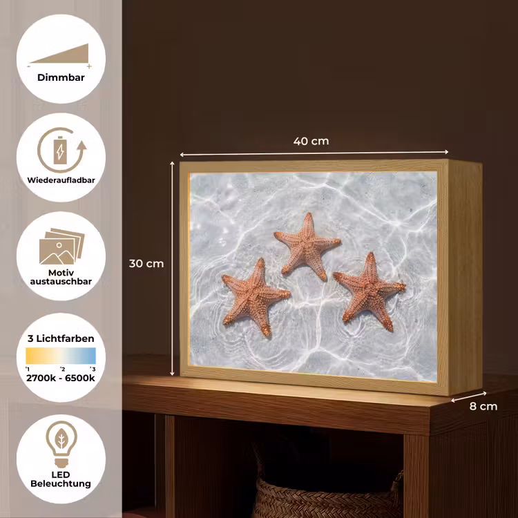 Zeesterren - Water - Helder Light Box met batterij (Wandlamp) middel -USP_websiteoverzichtDE