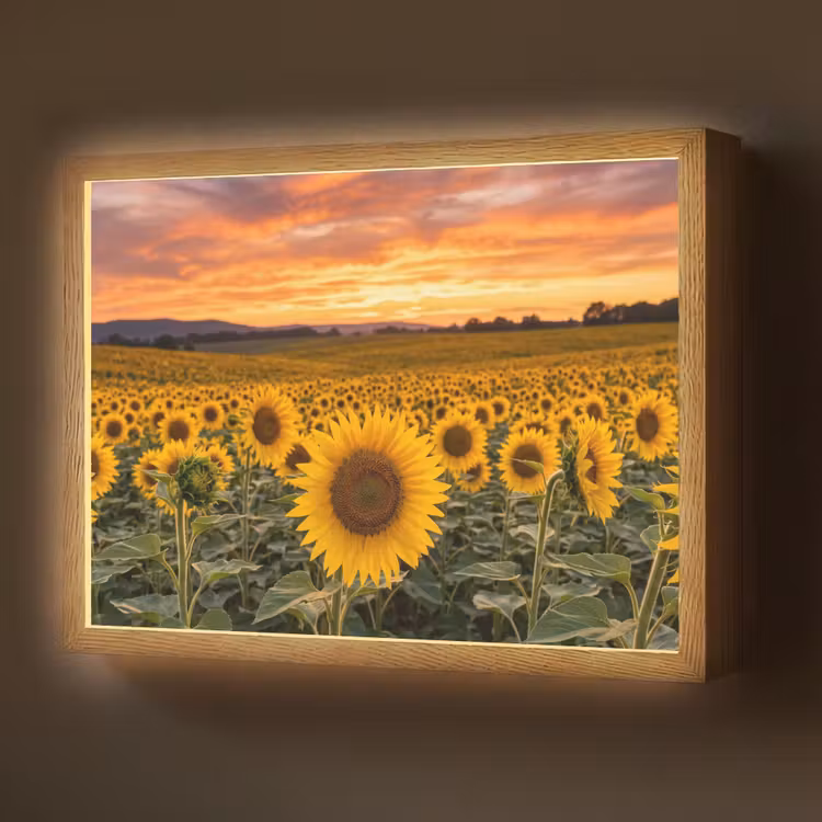 Zonnebloemen - Heuvellandschap - Geel Light Box met batterij (Wandlamp) middel -z3d_website