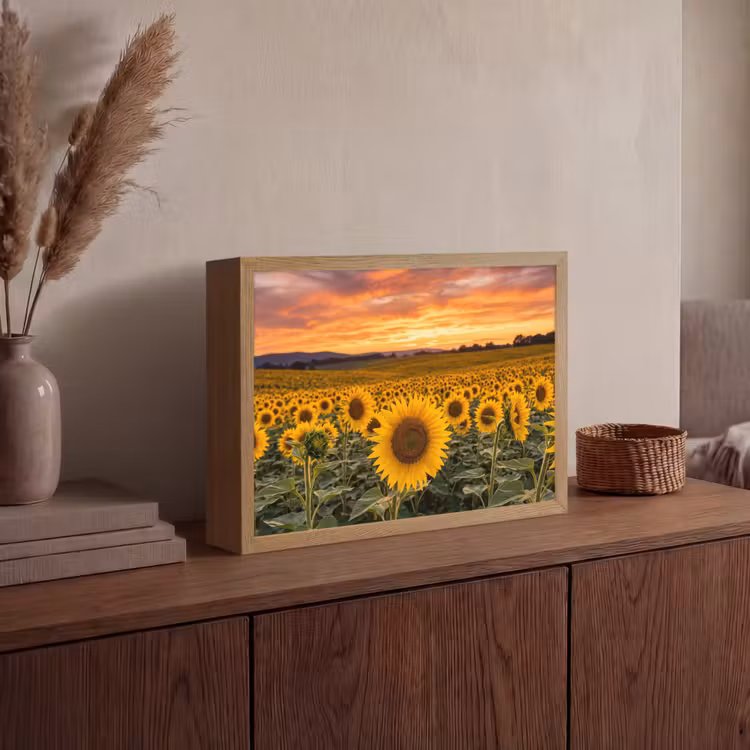 Zonnebloemen - Heuvellandschap - Geel Light Box met batterij (Wandlamp) middel -sfeer2