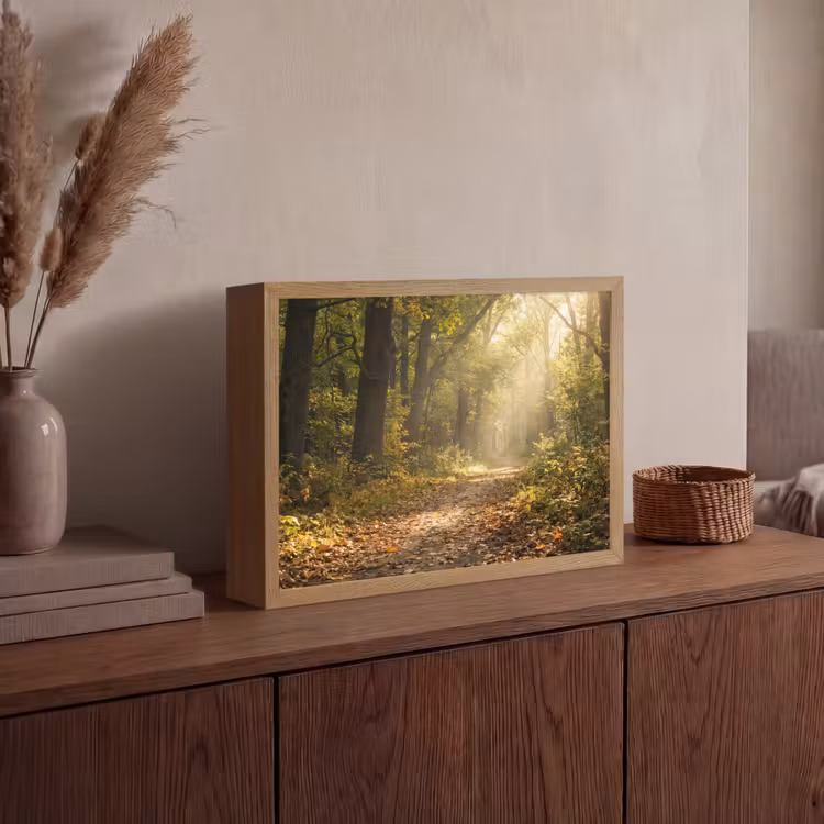 Zonlicht - Bospad - Bomen Light Box met batterij (Wandlamp) middel -sfeer2