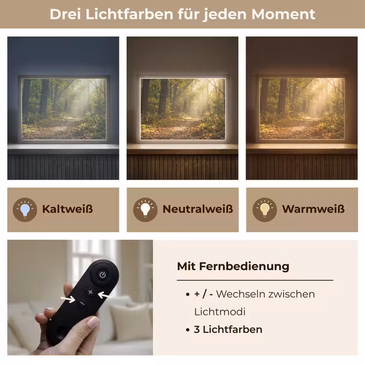 Zonlicht - Bospad - Bomen Light Box met batterij (Wandlamp) middel -USP_lichtkleurDE
