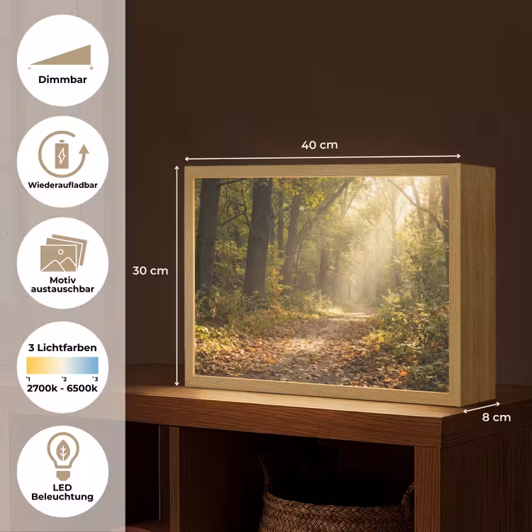 Zonlicht - Bospad - Bomen Light Box met batterij (Wandlamp) middel -USP_websiteoverzichtDE