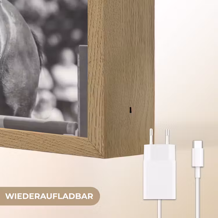 Springen - Paard - Zwart - Wit Light Box met batterij (Wandlamp) middel -USP_websiteoplaadbaarDE