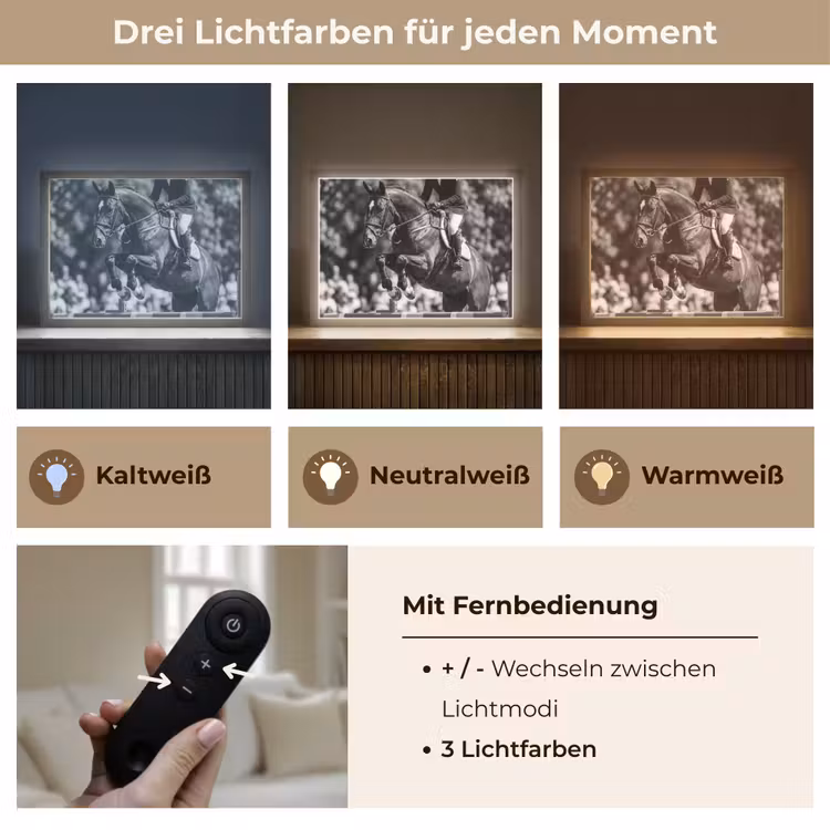 Springen - Paard - Zwart - Wit Light Box met batterij (Wandlamp) middel -USP_lichtkleurDE