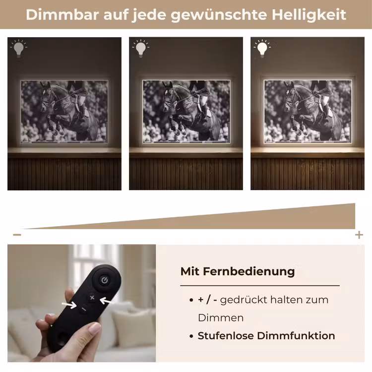 Springen - Paard - Zwart - Wit Light Box met batterij (Wandlamp) middel -USP_dimbaarDE