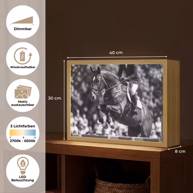 Springen - Paard - Zwart - Wit Light Box met batterij (Wandlamp) middel -USP_websiteoverzichtDE