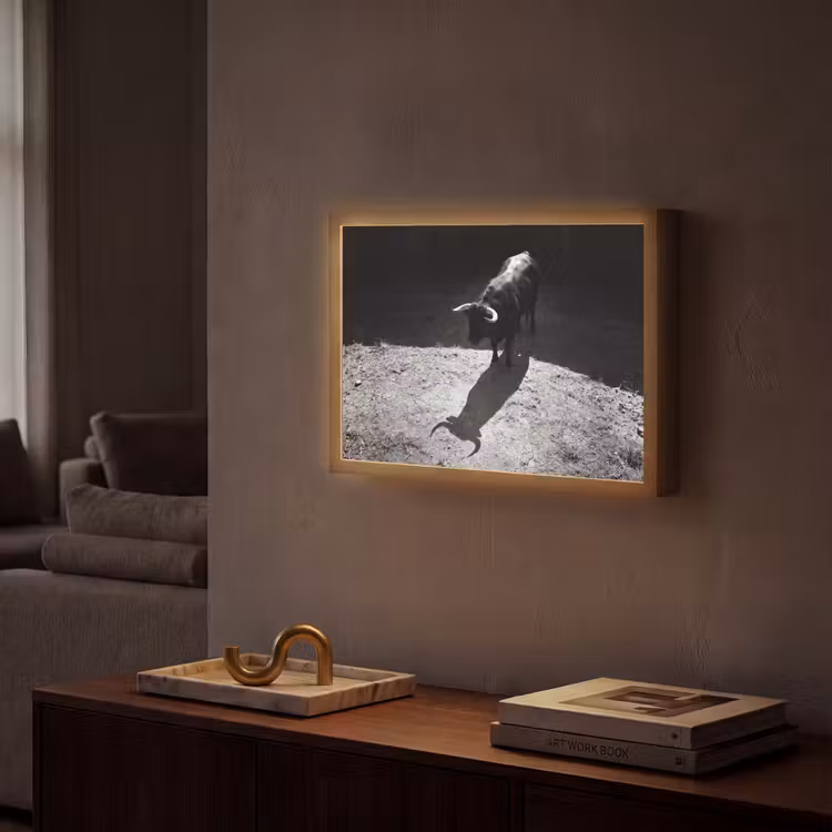 Stier - Schaduw - Dieren - Contrast - Zwart-wit Light Box met batterij (Wandlamp) middel -sfeer1