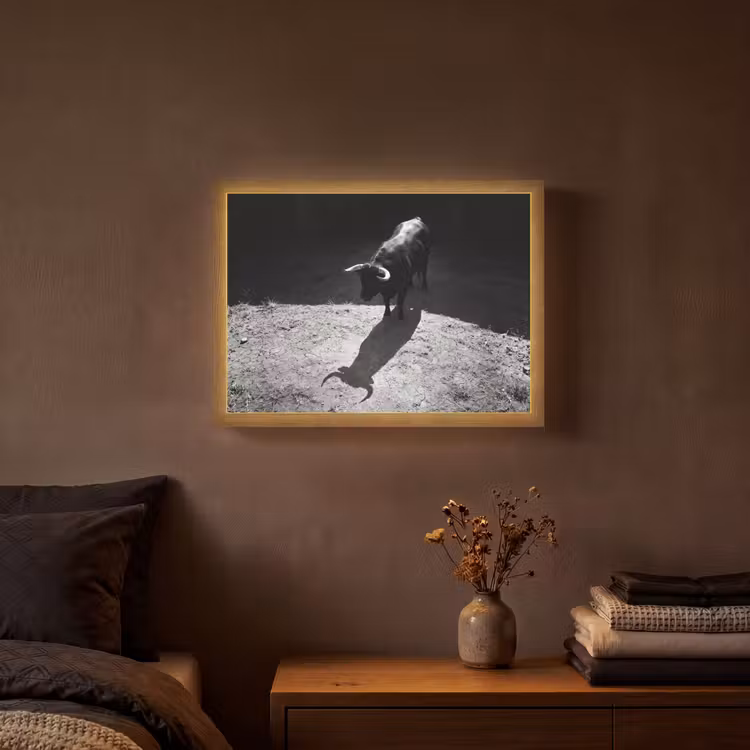 Stier - Schaduw - Dieren - Contrast - Zwart-wit Light Box met batterij (Wandlamp) middel -sfeer4