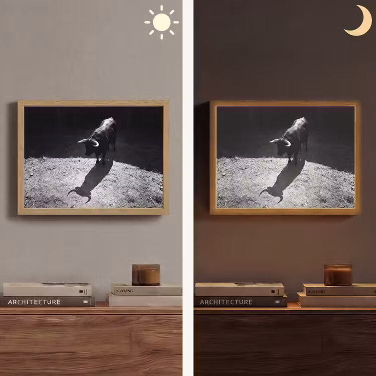 Stier - Schaduw - Dieren - Contrast - Zwart-wit Light Box met batterij (Wandlamp) middel -sfeer3