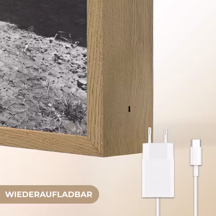 Stier - Schaduw - Dieren - Contrast - Zwart-wit Light Box met batterij (Wandlamp) middel -USP_websiteoplaadbaarDE