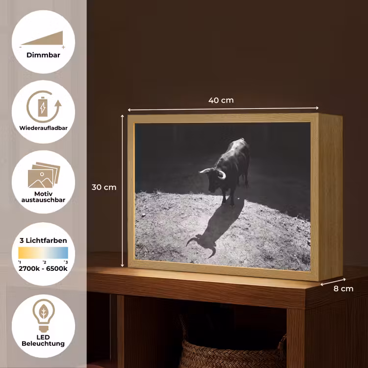 Stier - Schaduw - Dieren - Contrast - Zwart-wit Light Box met batterij (Wandlamp) middel -USP_websiteoverzichtDE