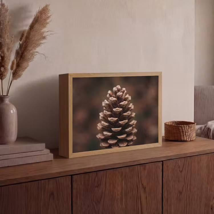 Dennenappel - Bos - Herfst - Bruin - Sfeervol Light Box met batterij (Wandlamp) middel -sfeer2
