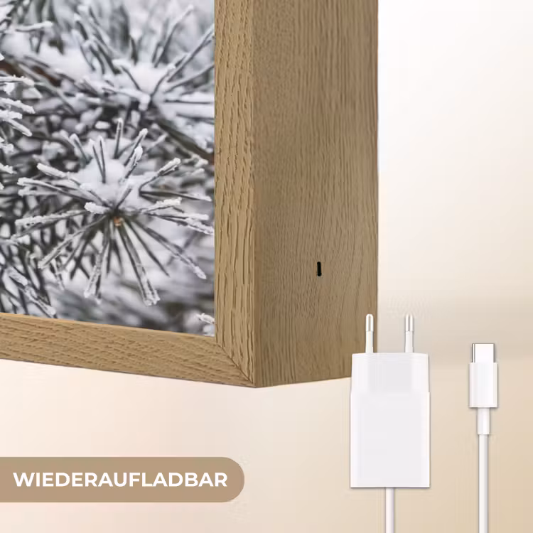 Dennenappel - Tak - Sneeuw - Winter - Sfeervol Light Box met batterij (Wandlamp) middel -USP_websiteoplaadbaarDE