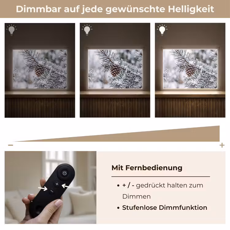 Dennenappel - Tak - Sneeuw - Winter - Sfeervol Light Box met batterij (Wandlamp) middel -USP_dimbaarDE