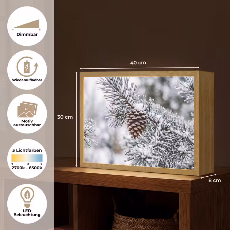 Dennenappel - Tak - Sneeuw - Winter - Sfeervol Light Box met batterij (Wandlamp) middel -USP_websiteoverzichtDE