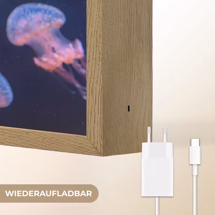 Dier - Onderwater - Natuur - Roze - Mysterieus Light Box met batterij (Wandlamp) middel -USP_websiteoplaadbaarDE