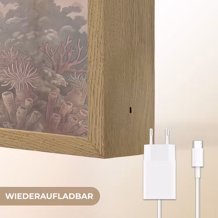 Dier - Onderwater - Oceaan - Illustratie - Zeeleven Light Box met batterij (Wandlamp) middel -USP_websiteoplaadbaarDE